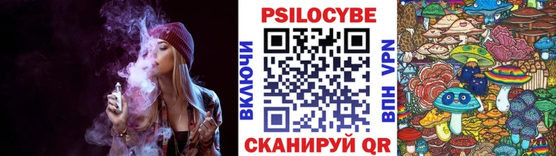Псилоцибиновые грибы Cubensis  купить  цена  Новодвинск 