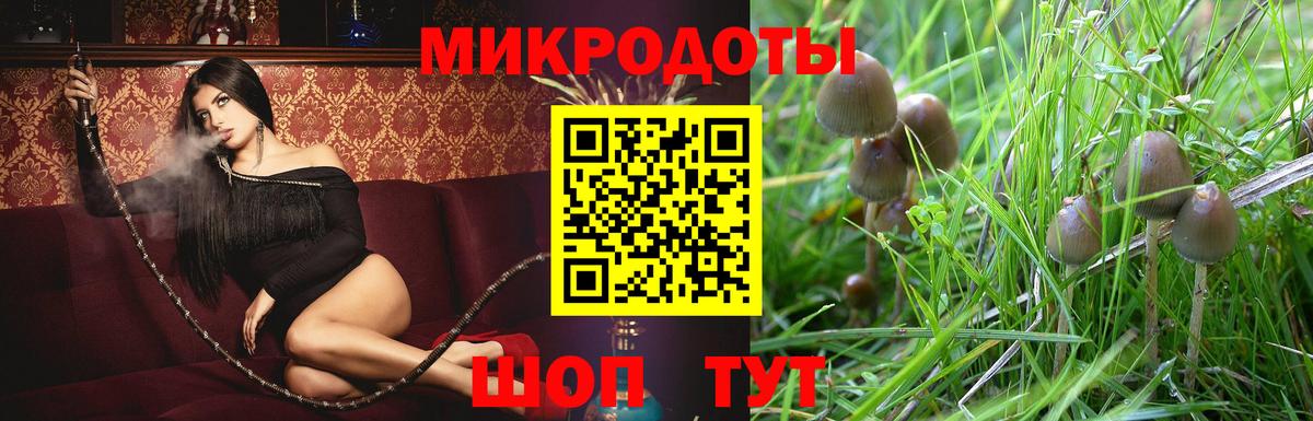 Галлюциногенные грибы GOLDEN TEACHER  Галлюциногенные грибы мухоморы  Вход с VPN  Новодвинск 