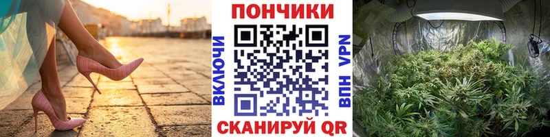 МАРИХУАНА VHQ Новодвинск